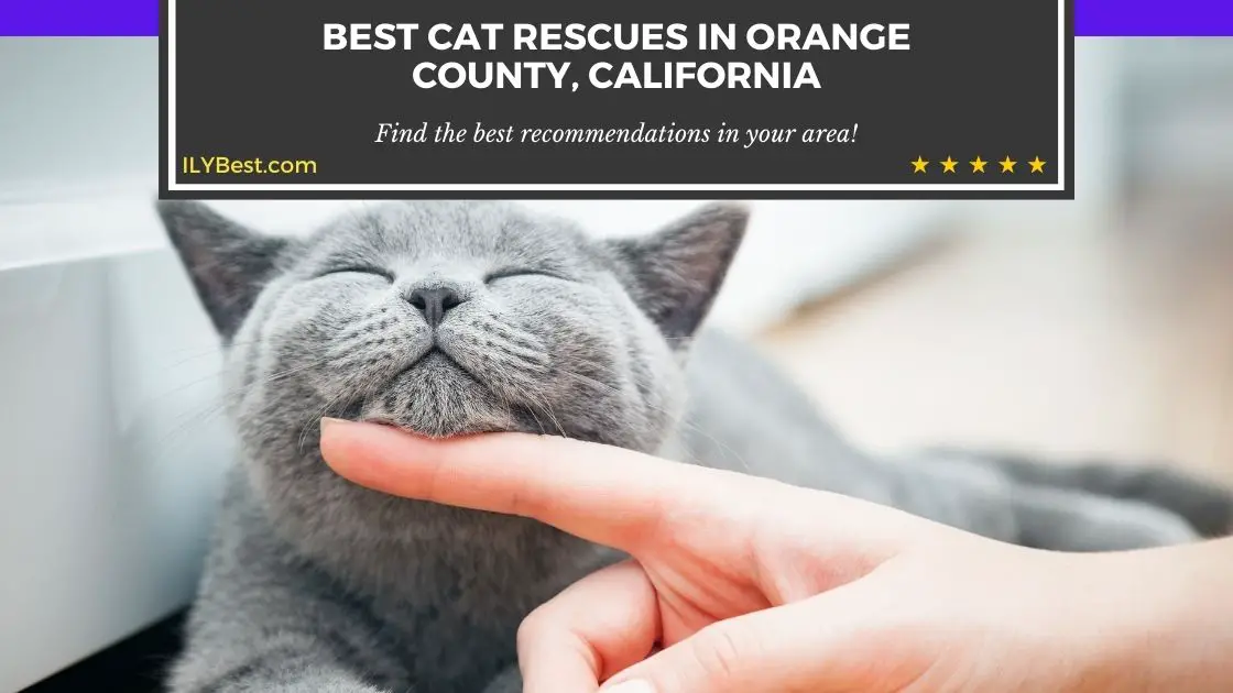 Cat Rescues in Orange County CA