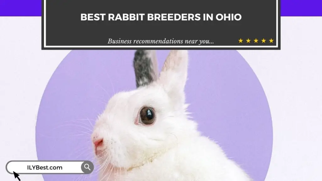 Rabbit Breeders in Ohio