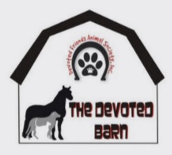 The Devoted Barn (Rabbit Rescues Michigan)
