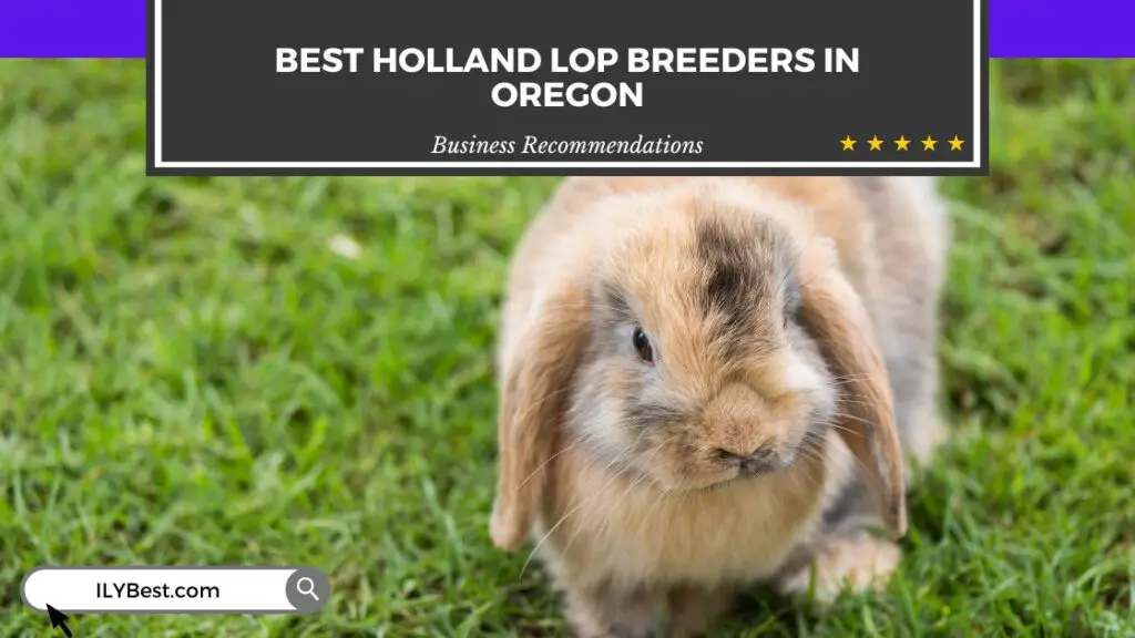 Holland Lop Breeders in Oregon
